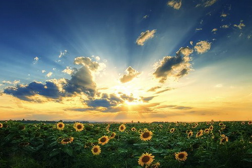 الجزیره: تهران، کاراکاس نیست! نقشه ترامپ برای تغییر نظام در ایران جواب نمی‌دهد/ بصیرت خوشاب